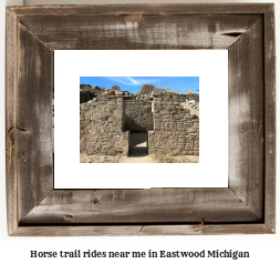 horse trail rides near me in Eastwood, Michigan